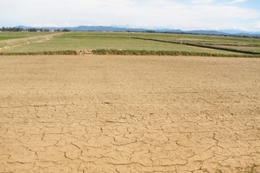 Nắng nóng khắc nghiệt, đau đầu chống hạn