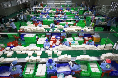 Bánh tráng không nhúng nước vào danh sách doanh nghiệp khoa học công nghệ