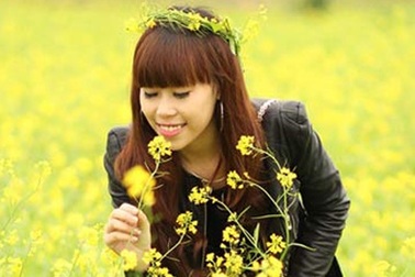 Cải vàng rực rỡ đầu đông hút bạn trẻ Hà thành