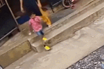 Khoảnh khắc động vật nổi bật: Cậu bé suýt giẫm trúng rắn hổ mang cực độc