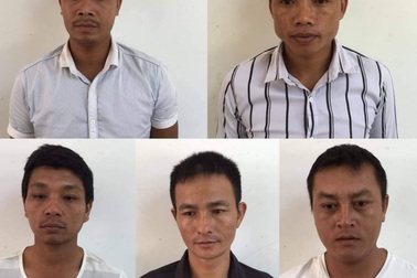 Khởi tố thêm 6 đối tượng phá rừng Phong Nha - Kẻ Bàng