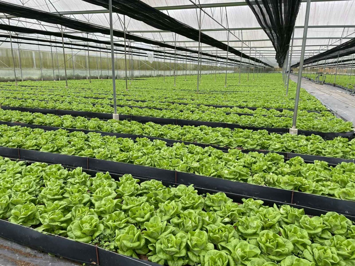 Bí quyết chinh phục người tiêu dùng Việt của rau sạch WinEco - 3 Bí quyết chinh phục người tiêu dùng Việt của rau sạch WinEco - 3