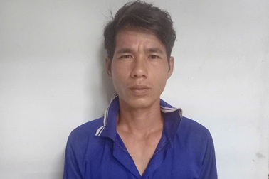 Dẫn cháu gái ruột đi làm thuê rồi xâm hại khiến cháu sinh con