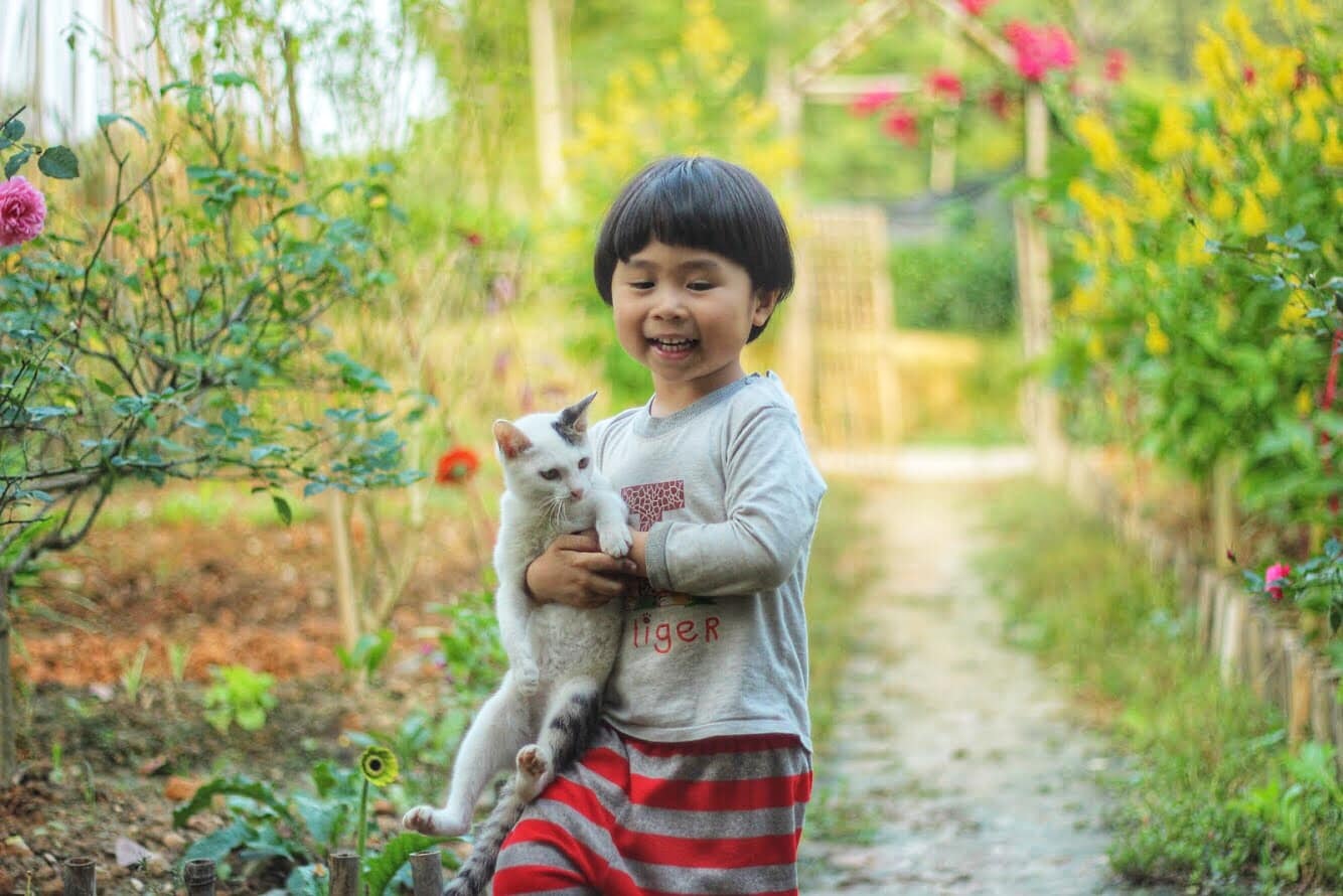 Làng quê yên bình qua ống kính của nữ thiết kế bỏ phố về quê bán cá - 7