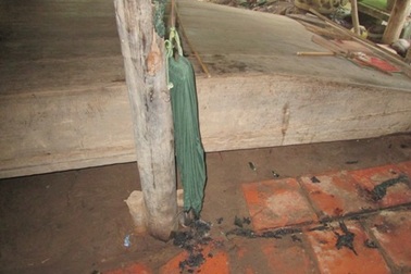 Con đốt cha rồi uống thuốc sâu tự tử vì không được chia đất