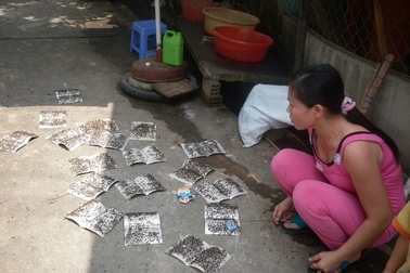 “Khủng hoảng” ruồi, dân vứt ruồi chết vào công ty phân vi sinh