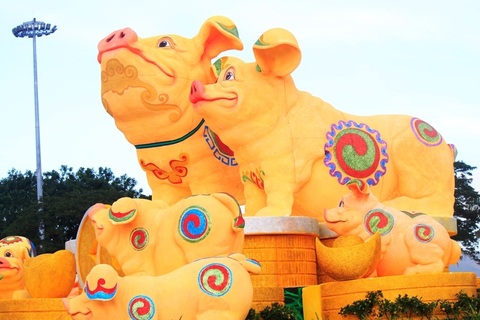 Ngộ nghĩnh gia đình heo vàng đón Tết Kỷ Hợi