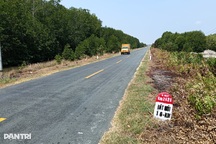 Cao tốc nối TP Cà Mau đến Đất Mũi dự kiến khởi công trong tháng 8