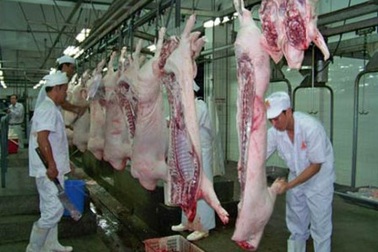 Nỗi kinh hoàng có tên "Sabutamol" trong thực phẩm đã "dịu" bớt