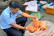 Phát hiện gần 17 tấn thực phẩm đông lạnh không rõ nguồn gốc ở Đồng Nai