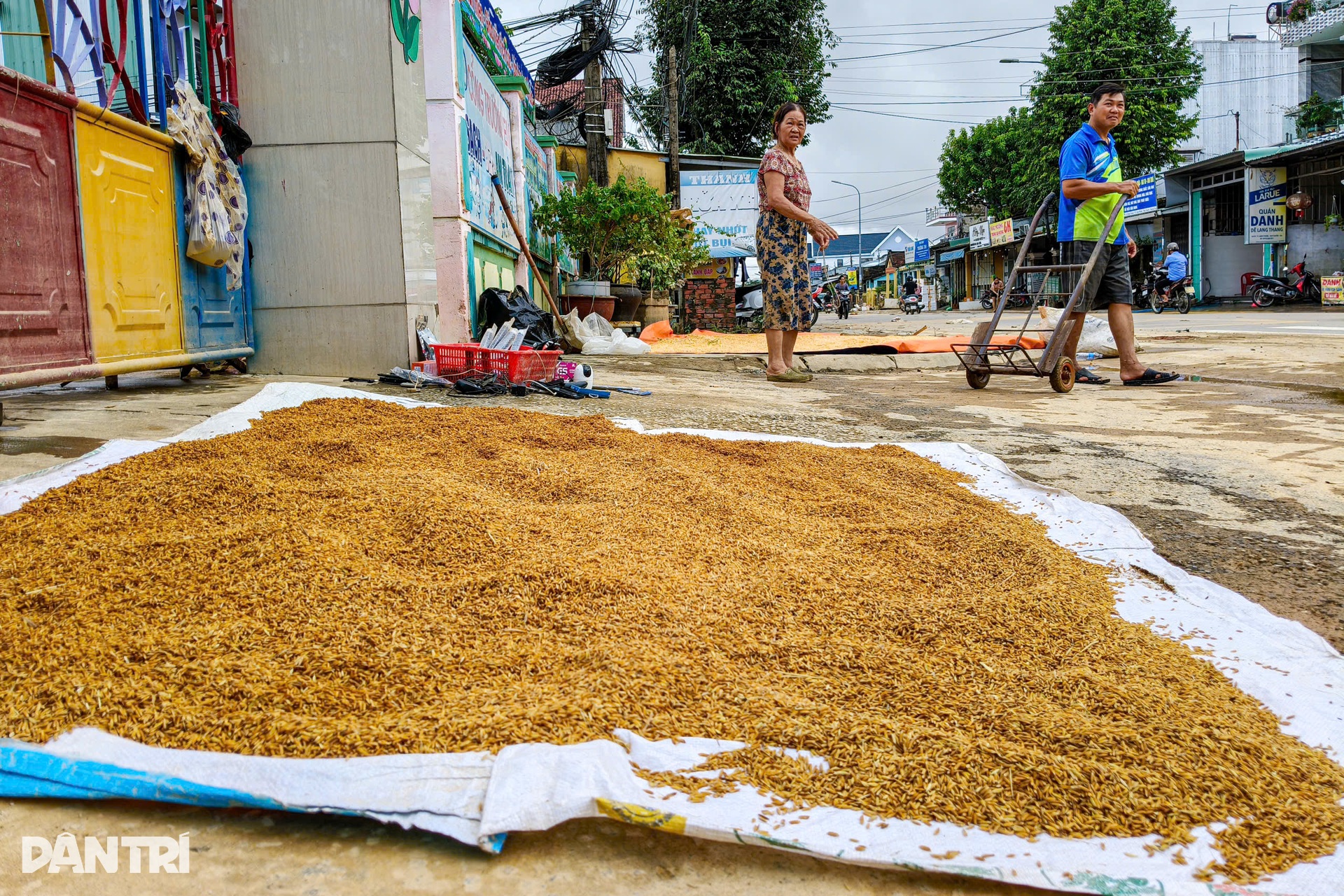 Gia đình tôi không còn đồ dùng gì nguyên vẹn sau khi nước rút! - 8 Gia đình tôi không còn đồ dùng gì nguyên vẹn sau khi nước rút! - 8