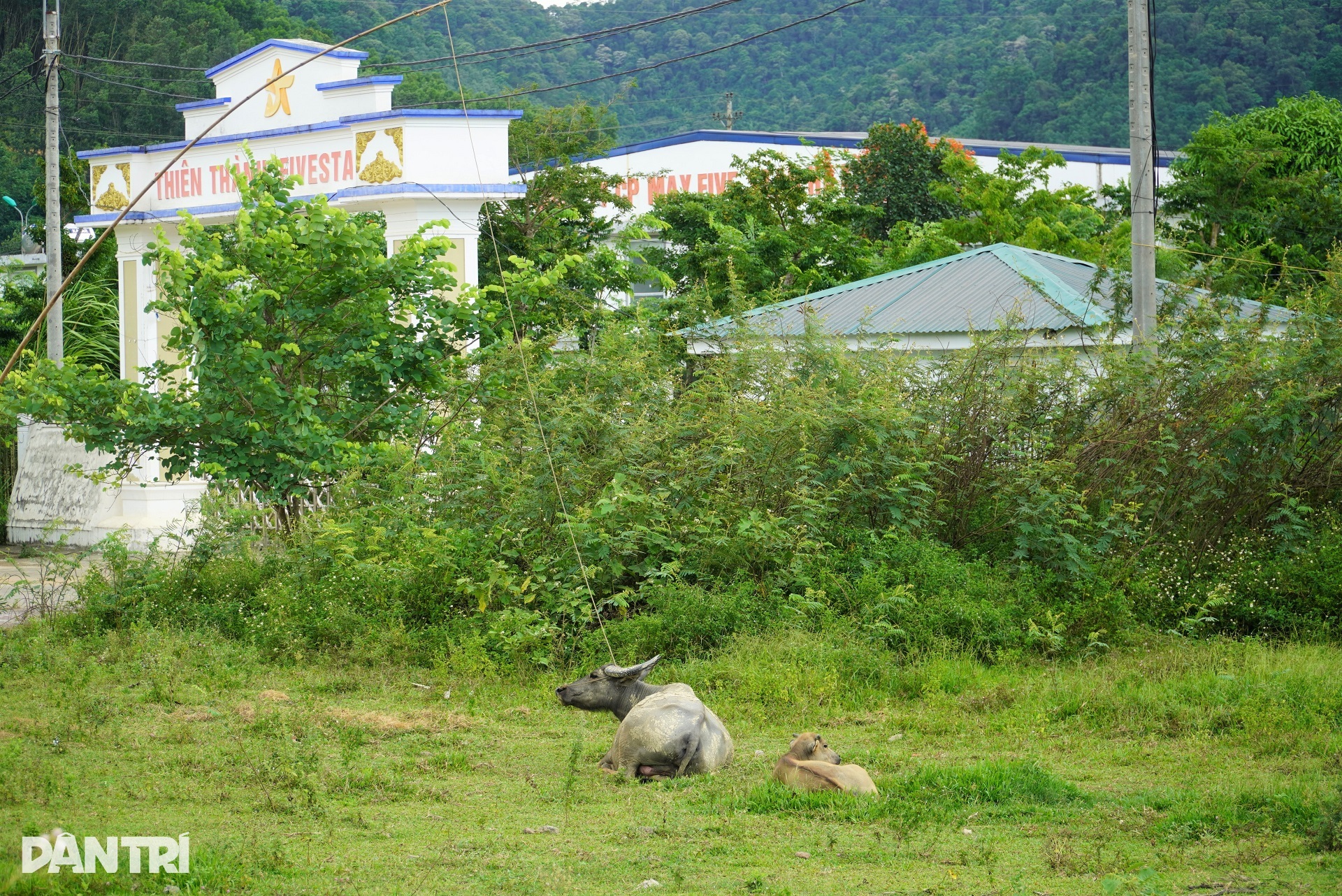 Doanh nghiệp cuối cùng tạm dừng hoạt động, KCN ở Hà Tĩnh lâm cảnh đìu hiu - 12 Doanh nghiệp cuối cùng tạm dừng hoạt động, KCN ở Hà Tĩnh lâm cảnh đìu hiu - 12