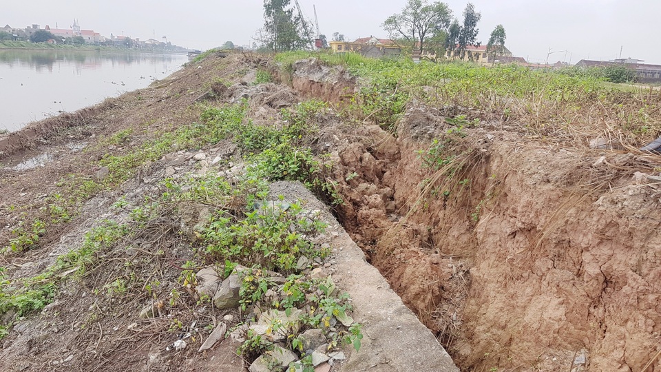 Ninh Bình: “Hà bá” đe dọa “nuốt” trăm mét đê, dân nơm nớp lo sợ - 6 Ninh Bình: “Hà bá” đe dọa “nuốt” trăm mét đê, dân nơm nớp lo sợ - 6