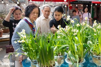 Bộ Tài chính: Không ghi nhận hiện tượng “sốt giá” hoa tươi