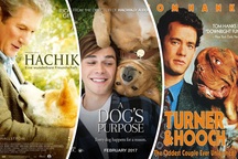 10 chú chó nổi danh màn bạc