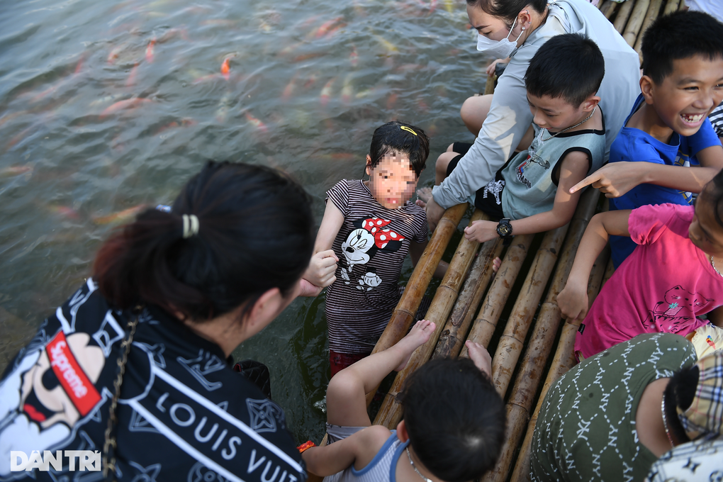 Người Hà Nội đổ tới xem hồ cá koi 12.000 con, vài trẻ em té ngã - 8 Người Hà Nội đổ tới xem hồ cá koi 12.000 con, vài trẻ em té ngã - 8