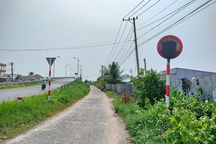 Xịt sơn, phá hoại biển báo giao thông có thể bị phạt tù đến 12 năm