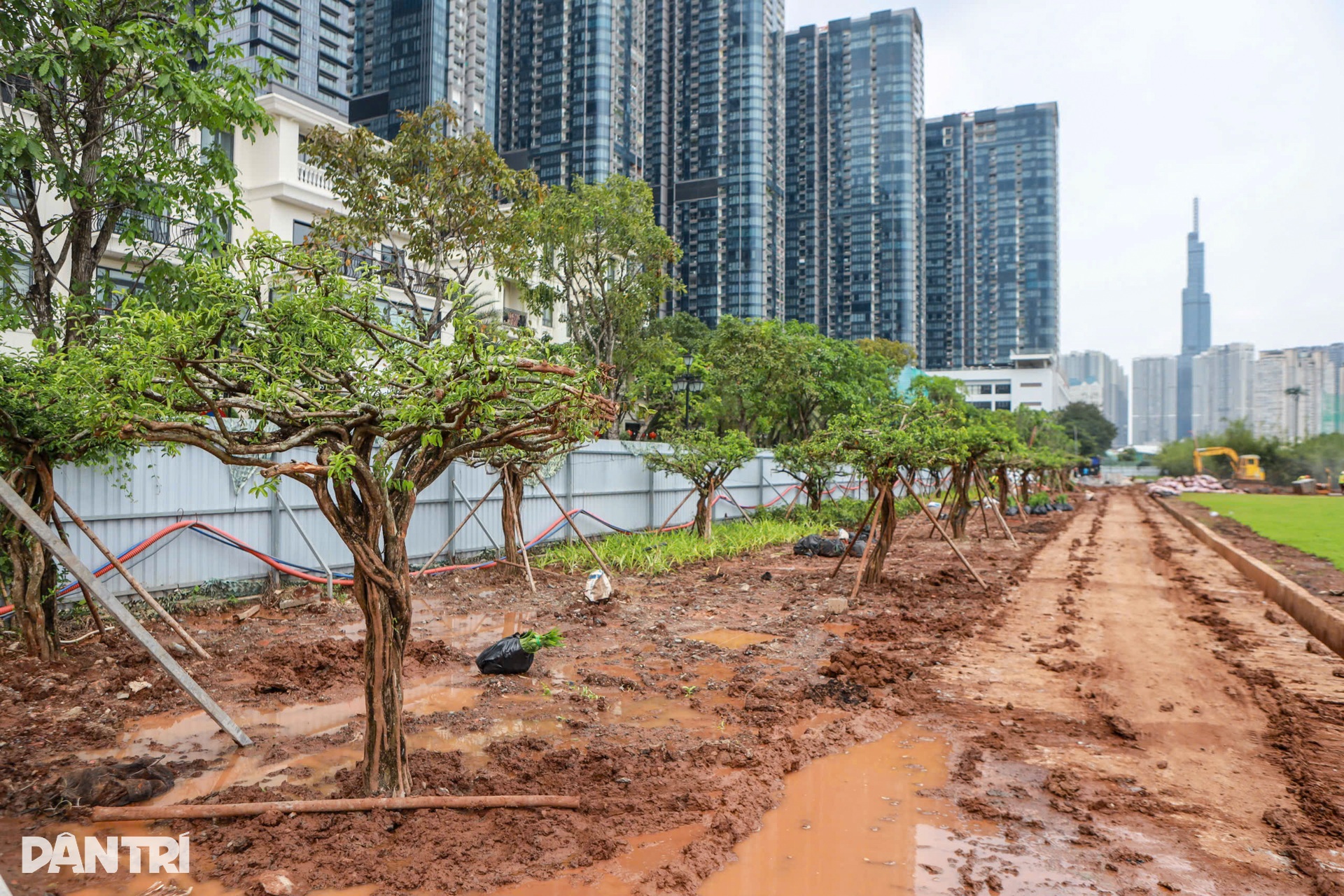 TPHCM mở rộng không gian xanh ven sông Sài Gòn, hướng tới đô thị đáng sống - 3 TPHCM mở rộng không gian xanh ven sông Sài Gòn, hướng tới đô thị đáng sống - 3