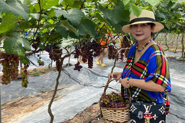 NSND Minh Hằng ở tuổi 62: Nuôi 20 con mèo, ở nhà vườn rộng 20.000m2