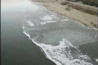 100 tấn chất độc hại đổ xuống sông Tùng Hoa