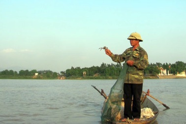 Săn cua da ở Lục Đầu Giang