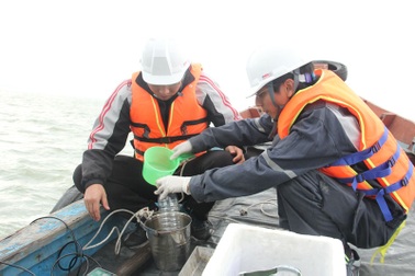 Formosa cố gắng khắc phục lỗi vi phạm để đi vào hoạt động