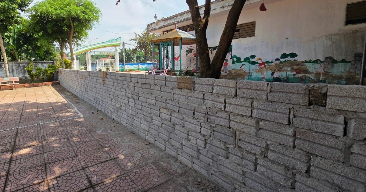 dantri.com.vn
