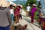 Một phụ nữ bị dây điện rơi trúng đầu bất tỉnh