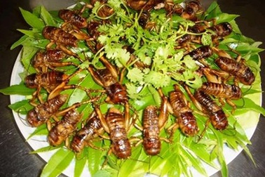 Những món ăn vặt “hot” nhất xứ chùa Vàng