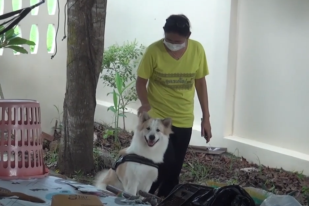 Chú chó Boo Boo được ngợi khen vì phát hiện và cảnh báo nguy hiểm kịp thời cho chủ nhà (Ảnh cắt từ clip). Chú chó Boo Boo được ngợi khen vì phát hiện và cảnh báo nguy hiểm kịp thời cho chủ nhà (Ảnh cắt từ clip).