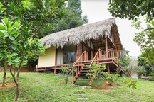 Đã mắt ngắm nhà vườn rộng 12.000m2 của ca sĩ Việt Hoàn