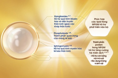 Những nghiên cứu mới nhất về thành phần giàu dinh dưỡng MFGM trong sữa