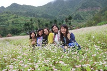 Bất chấp mưa lạnh, dân phượt đổ xô lên Hà Giang ngắm hoa tam giác mạch