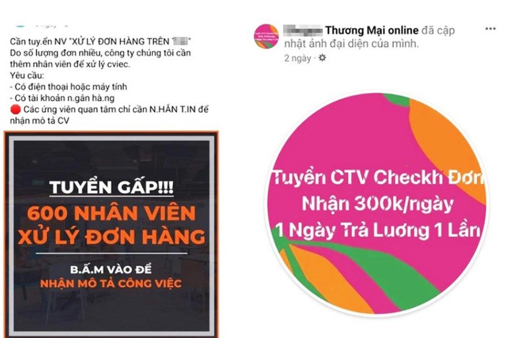 Miếng pho mát miễn phí chỉ có trong bẫy chuột - 1 Miếng pho mát miễn phí chỉ có trong bẫy chuột - 1
