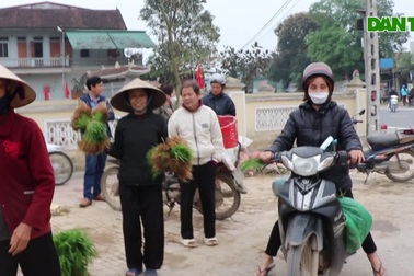Tấp nập cảnh mua bán mặt hàng đặc biệt