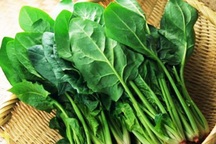 Cải bó xôi- "thần dược" chống ung thư