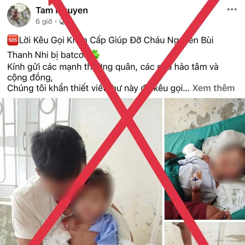 Tung tin giả về vụ bắt cóc trẻ em để kêu gọi ủng hộ từ thiện - 2