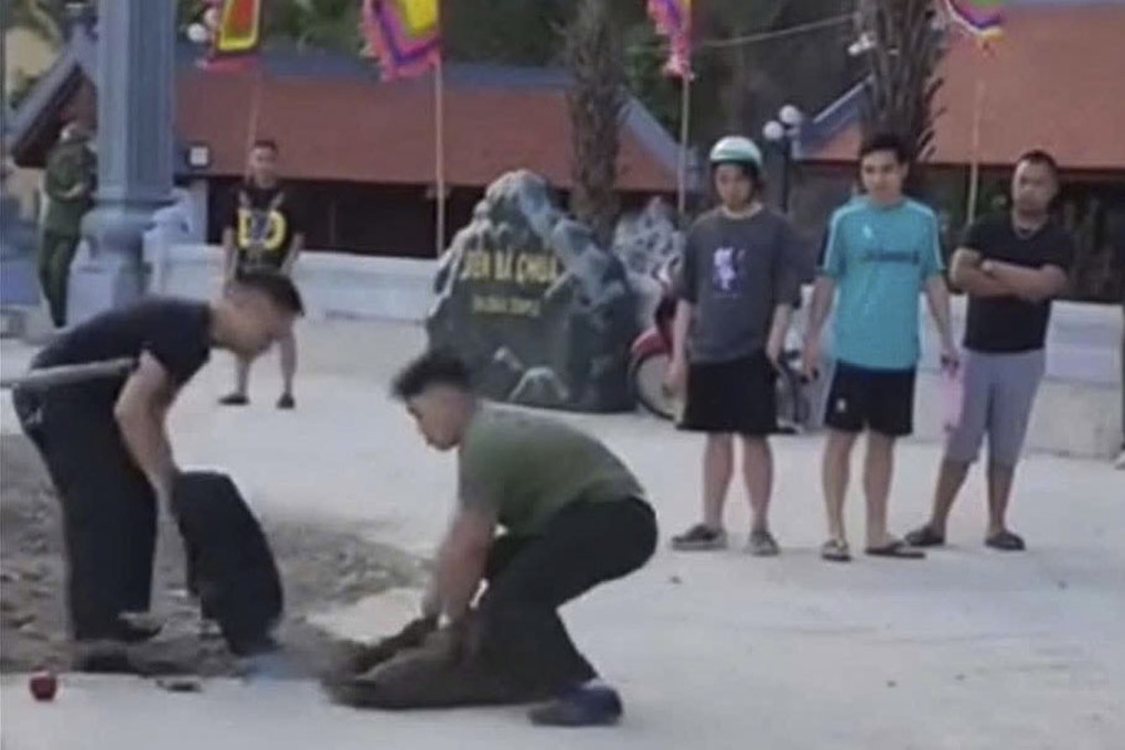Đàn khỉ từ núi Bài Thơ tràn xuống phố Hạ Long, chọc phá người đi đường - 2 Đàn khỉ từ núi Bài Thơ tràn xuống phố Hạ Long, chọc phá người đi đường - 2