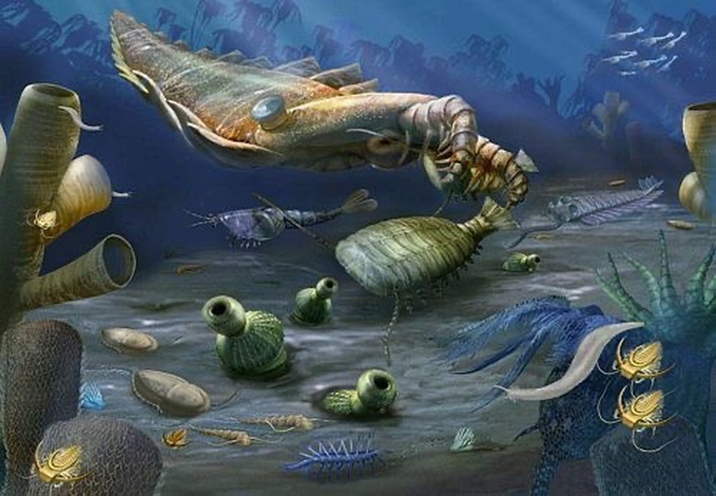 5 sự kiện đã thay đổi Trái Đất vĩnh viễn - 3 5 sự kiện đã thay đổi Trái Đất vĩnh viễn - 3