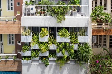 Vợ chồng trẻ ở TPHCM làm vườn treo độc đáo tránh nắng cho nhà hướng Tây