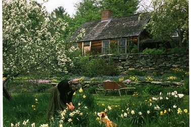 Sửng sốt với ngôi nhà hoa hồng đẹp như bước ra từ truyện cổ tích của cụ bà 92 tuổi