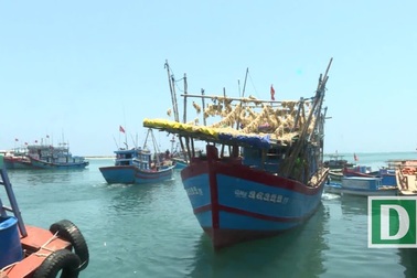 Tàu cá ngư dân Lý Sơn trình báo bị cướp tài sản