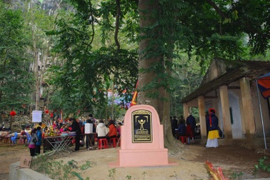 Yêu cầu dừng cấp bằng chứng nhận tôn vinh “nghệ nhân”, công nhận “cây di sản”