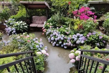 Con trai mua nhà để mẹ làm vườn hoa sân thượng đẹp như tranh