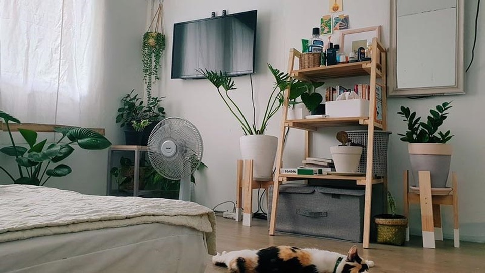 Thầy giáo gây sốt với màn biến hóa nhà đẹp không tưởng chỉ 6 triệu đồng - 8 Thầy giáo gây sốt với màn biến hóa nhà đẹp không tưởng chỉ 6 triệu đồng - 8