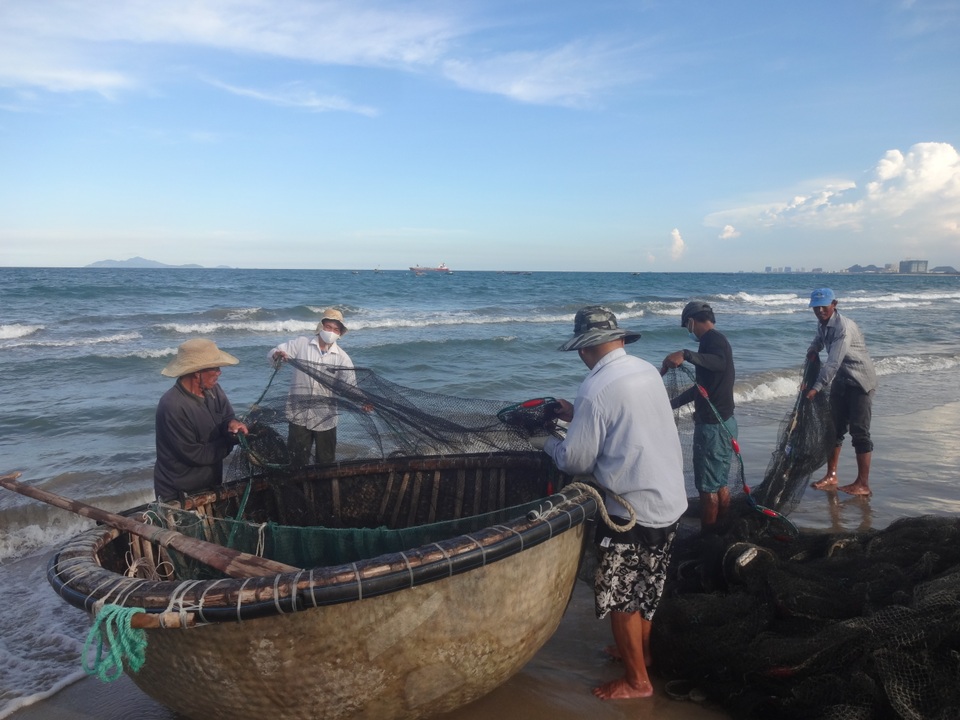 Những “mẻ lưới niềm vui” của ngư dân Đà Nẵng sau nới lỏng giãn cách xã hội - 2 Những “mẻ lưới niềm vui” của ngư dân Đà Nẵng sau nới lỏng giãn cách xã hội - 2