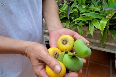 Anh Nguyễn Đức Thịnh chia sẻ về cây "vàng" của cha ông để lại