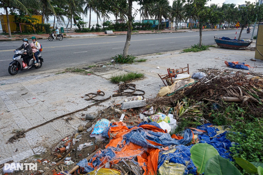 Xà bần, rác thải mọc lộ thiên bên tuyến đường biển Đà Nẵng - 7 Xà bần, rác thải mọc lộ thiên bên tuyến đường biển Đà Nẵng - 7