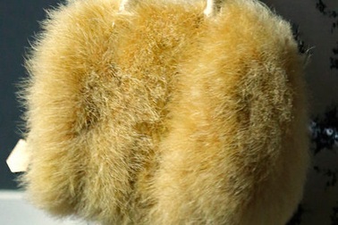 BST túi xách Louis Vuitton 