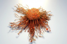 Phát hiện vitamin D có thể "chặn đứng" vũ khí hàng đầu của tế bào ung thư